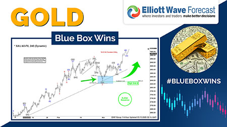 Blue Box Wins